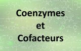 Coenzymes et cofacteurs