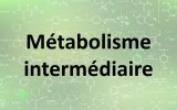 Kits de dosage - Métabolisme intermédiaire
