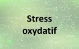 Stress oxydatif