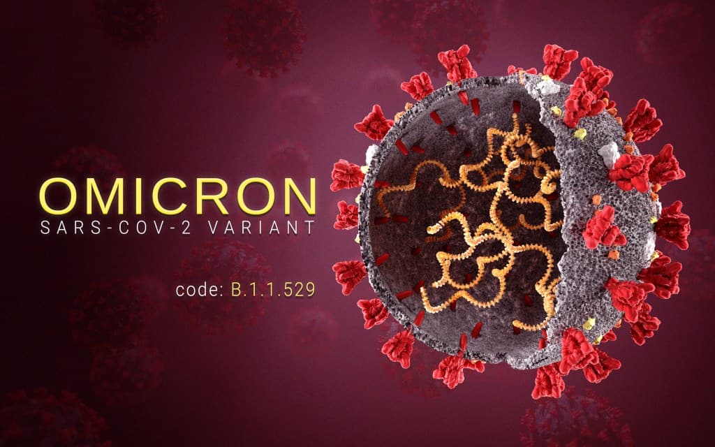 Omicron : new variant, new proteins