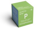 Phosphorus 32 (P-32)
