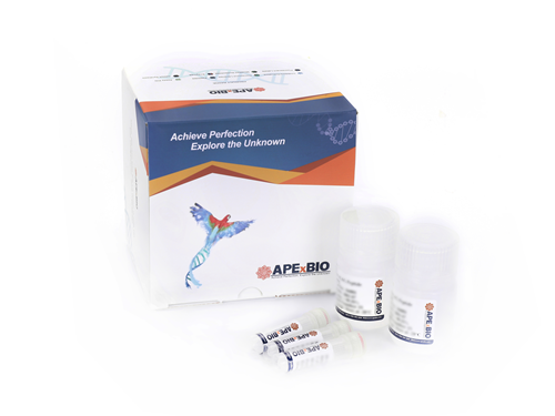 Direct Mouse Genotyping Kit Plus