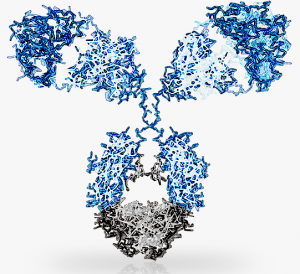 Purchase One Primary Antibody, Get a Secondary FREE