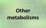 Other metabolisms